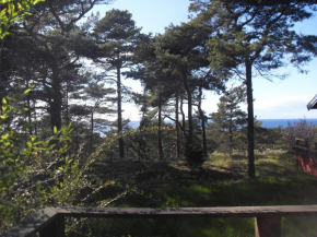 Liten stuga med havsutsikt